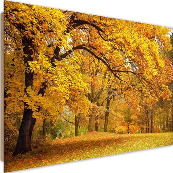 Deco panel CARO Żółte jesienne drzewa, 90x60 cm - Caro