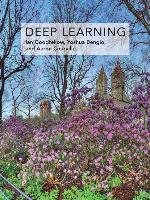 Deep Learning Bengio Yoshua, Goodfellow Ian, Courville Aaron