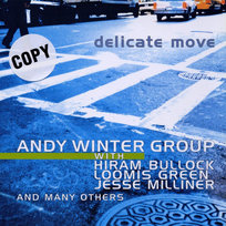 Delicate Move Milliner Jesse, Klingeberg Martin, Bullock Hiram, Winter Group Andy