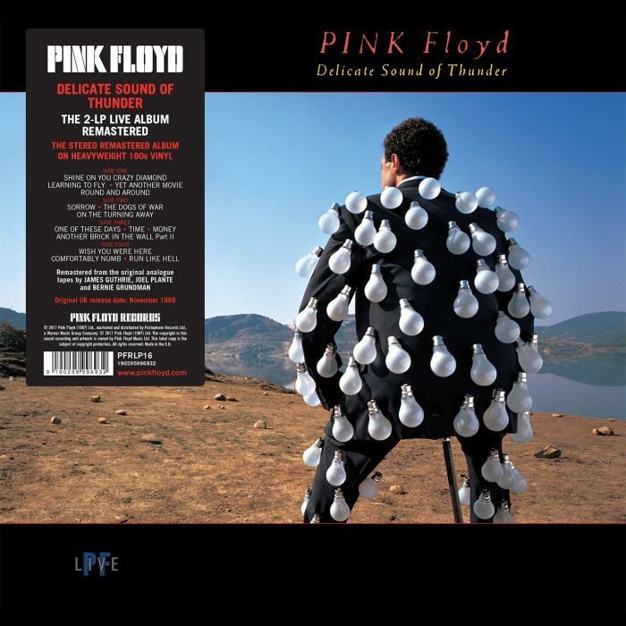 洋楽 Pink Floyd Electric Magic (tarantura) Delicate Sound Of Thunder, płyta winylowa - Pink Floyd