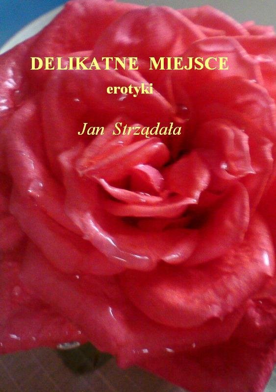 Delikatne miejsce - ebook epub