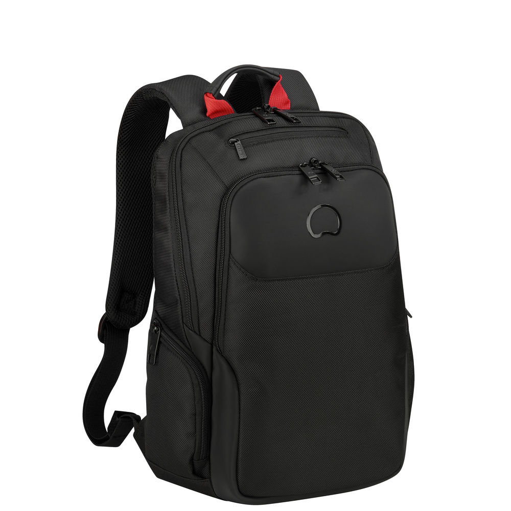 Delsey, Plecak na na laptopa, Parvis Plus dwukomorowy, 13.3'