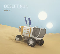 Desert Run Polaris