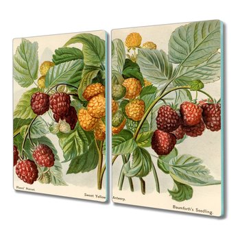 Deska szkło 2x30x52 Owoce jagody liście nowoczesna, Coloray - Coloray