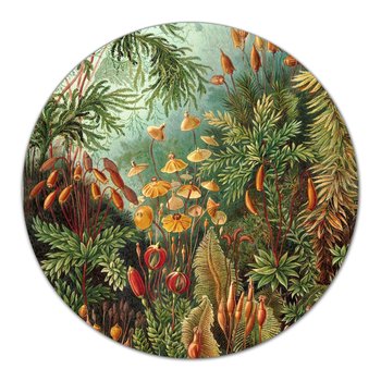 Deski szklane do krojenia Tropikalna dżungla fi40, Coloray - Coloray