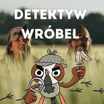 Detektyw Wróbel Ptaszkowie Śpiewali