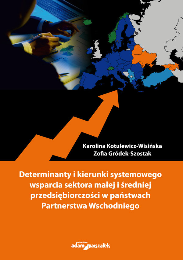 Determinanty I Kierunki Systemowego Wsparcia Sektora Małej I średniej ...