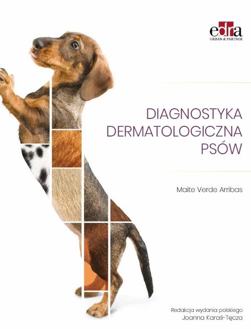 Diagnostyka dermatologiczna psów-Zdjęcie-0