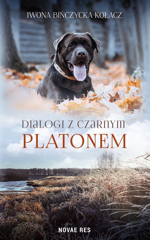 Dialogi z czarnym Platonem - ebook epub