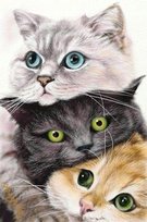 Diamond Painting Haft Diamentowy Mozaika Zestaw 5D