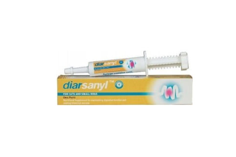 Diarsanyl Plus 24 Ml Pasta Przy Ostrych Biegunkach, Suplement Diety-Zdjęcie-0