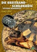 Die Breitrandschildkröte Herz Mario