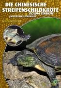 Die Chinesische Streifenschildkröte Schilde Maik