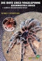 Die Rote Chile-Vogelspinne + andere Grammostaola-Arten Striffler Boris