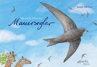 Die weite Reise der Mauersegler - Moller Anne