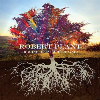 Digging Deep: Subterranea - Plant Robert