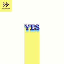 Digital Dozen Yes