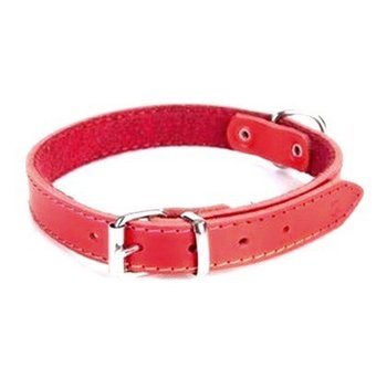 Dingo Obroża ze skóry podszyta filcem dla psa CLASSIC - czerwona 2 x 50 cm - Dingo