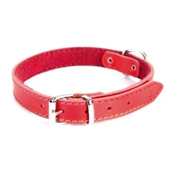 Dingo Obroża ze skóry podszyta filcem dla psa CLASSIC - czerwony 1,6 x 41 cm - Dingo