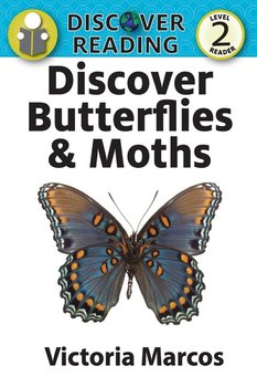 Discover Butterflies & Moths - Marcos Victoria