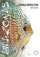 Diskusfische Degen Bernd