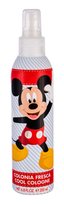 air-val international mickey