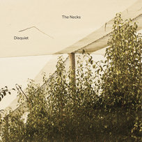 Disquiet The Necks