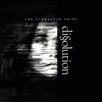 Dissolution The Pineapple Thief
