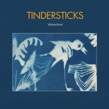 Distractions, płyta winylowa - Tindersticks
