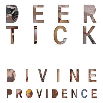 Divine Providence, płyta winylowa - Deer Tick
