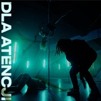 DLA ATENCJI Pako, BAHSICK, aleshen