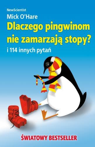 Dlaczego pingwinom nie zamarzają stopy
