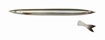 Długopis Savage Gear Sandeel Pen 150 - Savage Gear