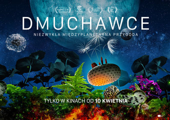 DMUCHAWCE