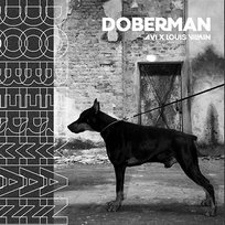Doberman Avi, Louis Villain