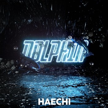 Dolphin - Haechi