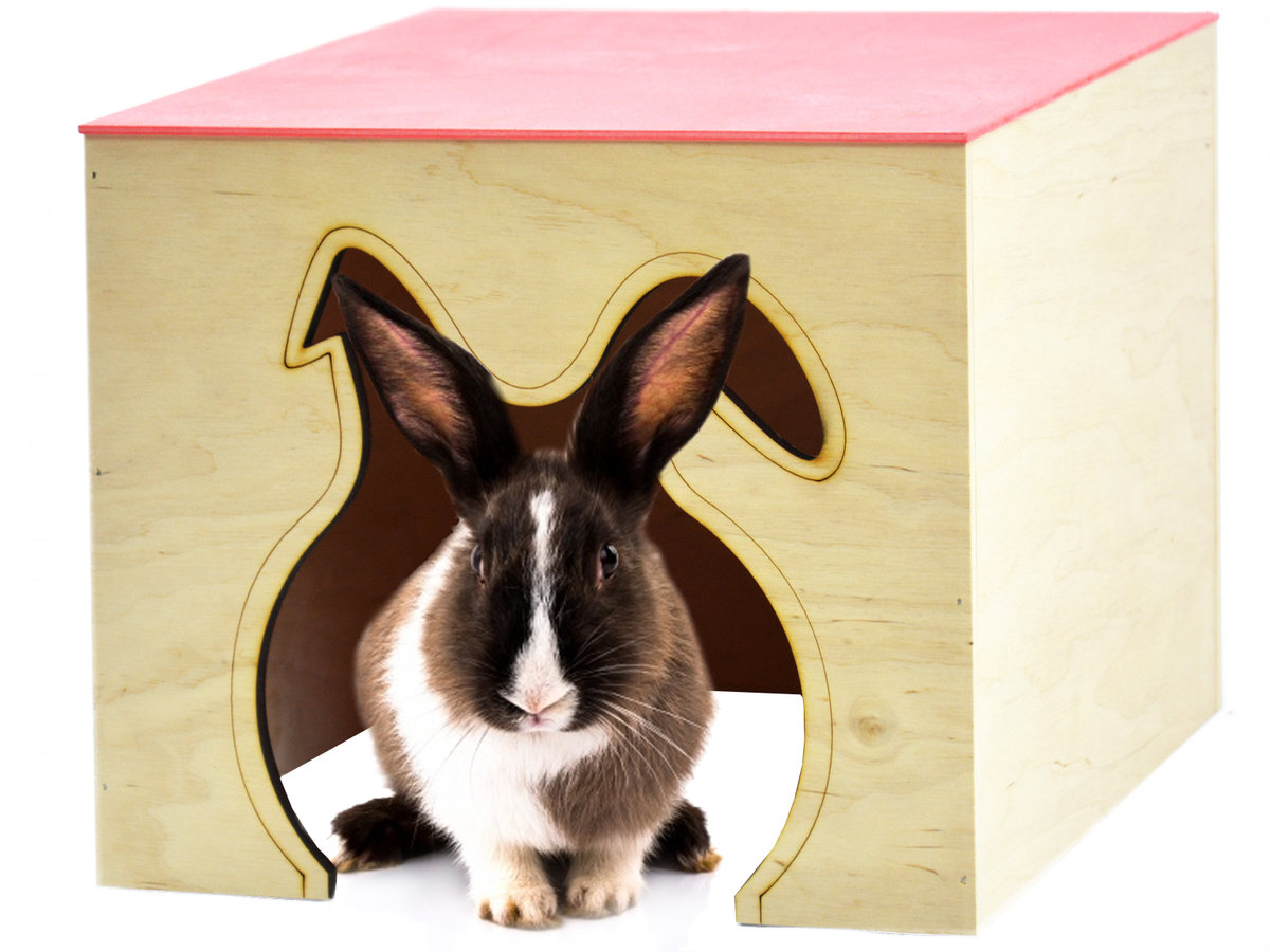 Zdjęcia - Klatka / domek dla gryzonia Domek dla królika z płaskim dachem, duży