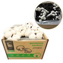 Domowa uprawa pieczarki białej żywa grzybnia pieczarka biała 15L 7kg