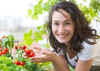 Domowy warzywnik – jak przygotować się do uprawy roślin na balkonie, tarasie i parapecie? Cenne wskazówki