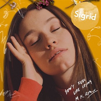 Don't Feel Like Crying - Sigrid