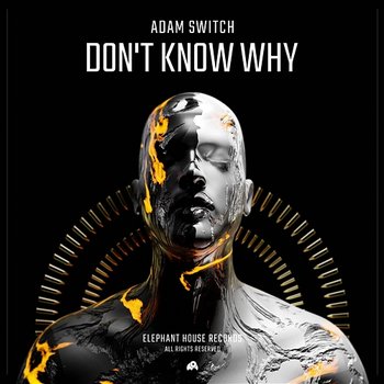 Don't Know Why - Adam Switch