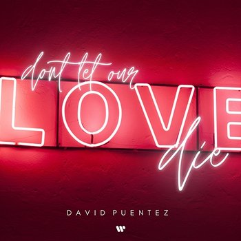Don‘t Let Our Love Die - David Puentez
