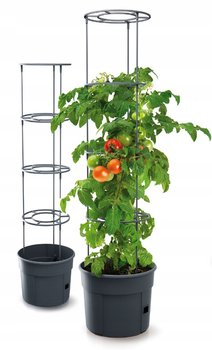 Doniczka do uprawy pomidorów Prosperplast - PROSPERPLAST
