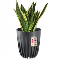 Doniczka Osłonka Eko + Wkładka Antracyt 25x30cm