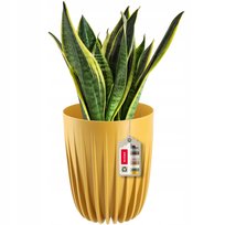 Doniczka Osłonka + Wkładka Musztardowa 25x30cm