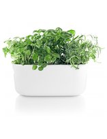 Doniczka samopodlewająca biała marki Eva Solo