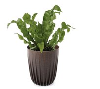 Doniczka+Wkład Mira Eco Coffe Espresso H 297 Fi25