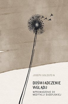 Doświadczenie wglądu - Goldstein Joseph