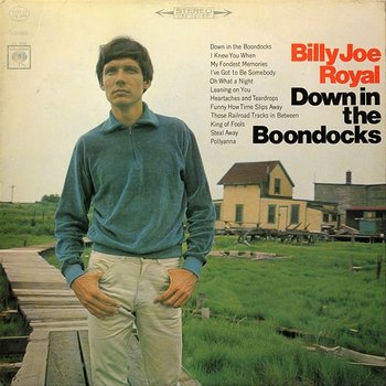 Down in the Boondocks - Billy Joe Royal
