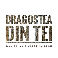Dragostea Din Tei Dan Balan feat. Katerina Begu